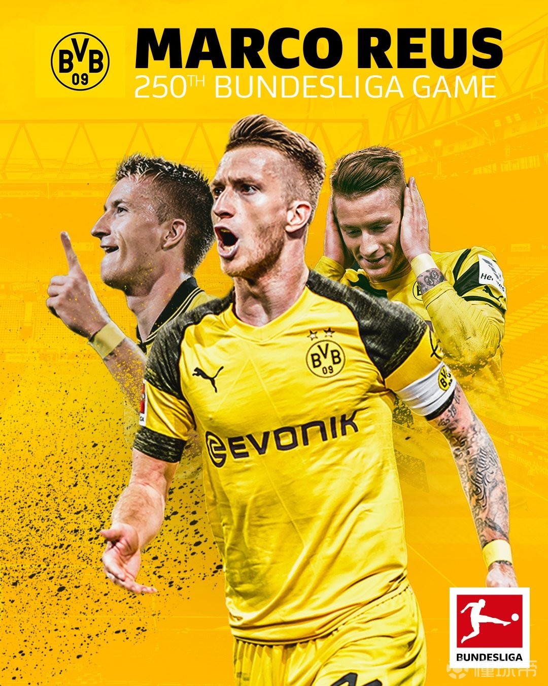 广泛的应用领域